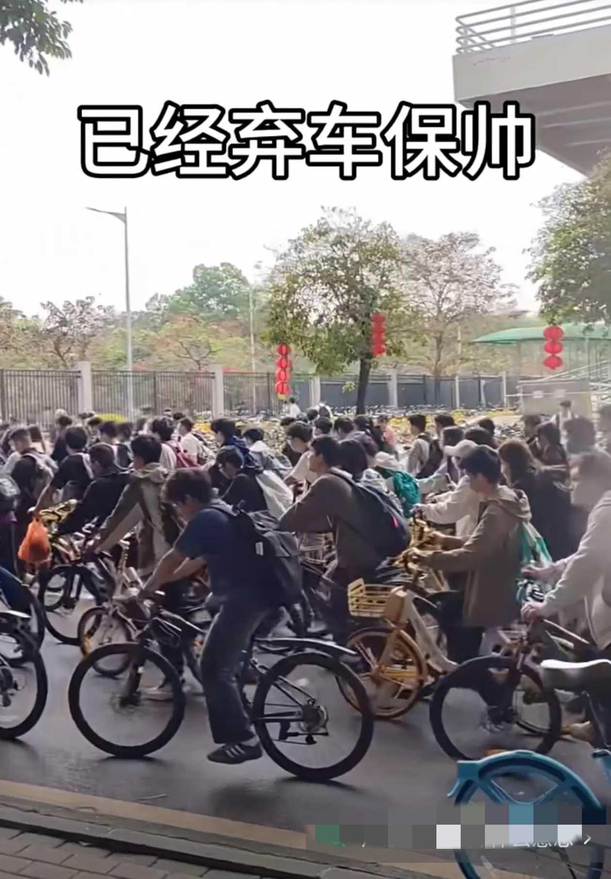 这些人电动车也不买了、单车要怎么罚呢？