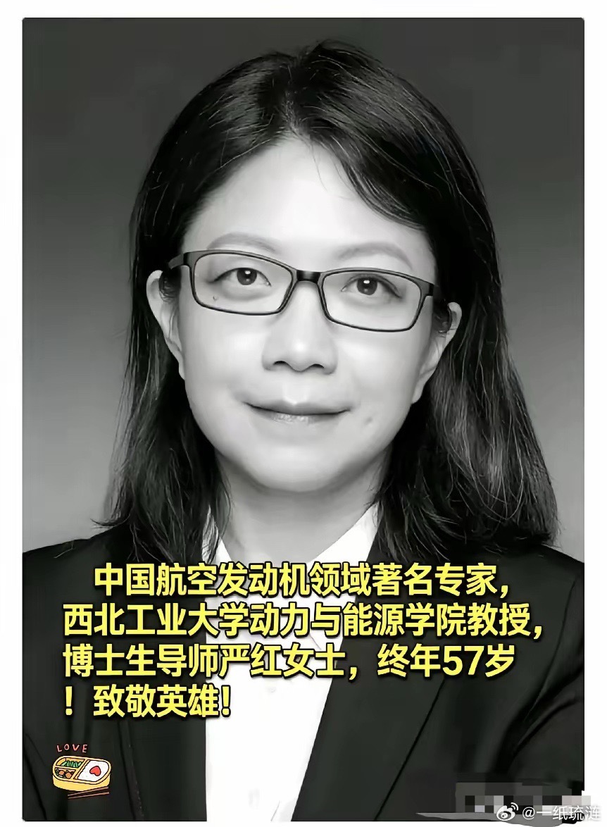真的破防了，3月24日。当所有人都在为张雪峰沸腾时，西工大博导严红，死磕航空发动