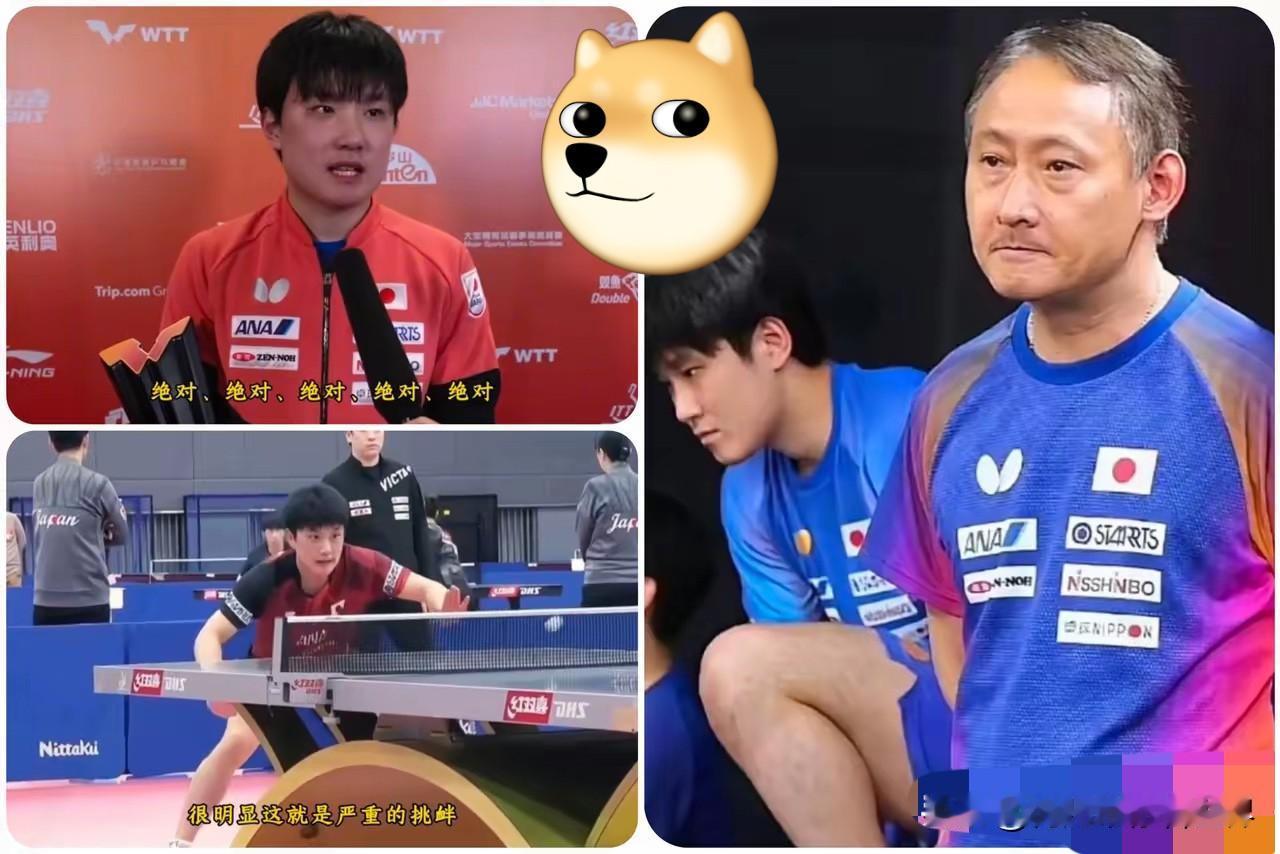 别再拿“还是个孩子”来洗地了，这次张本智和算是彻底把天窗给捅亮了！赛场上