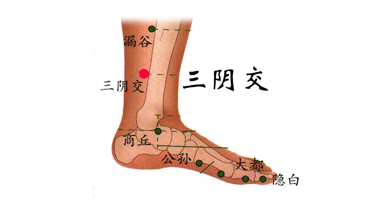 三阴交:在小腿内侧,内踝尖上 寸,胫骨内侧缘后方.