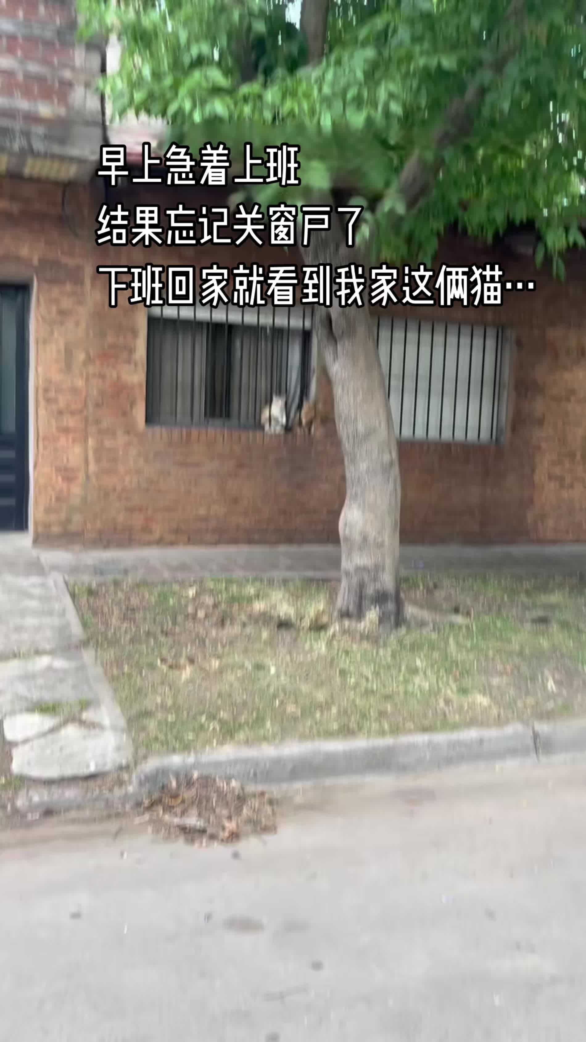 还好没被偷走了😂