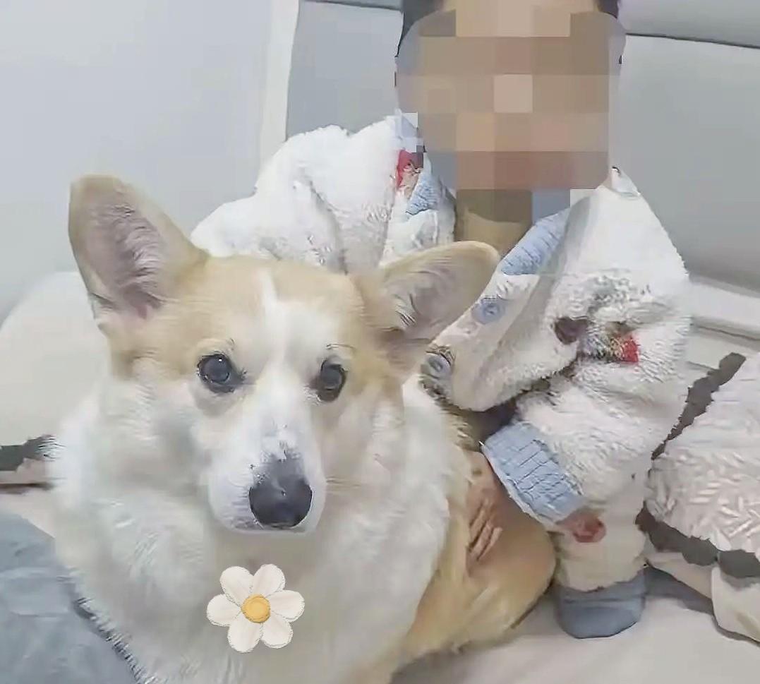 我怀疑过坠亡幼童的爸外面有人，也怀疑过他跟妻子没感情了，但万万没想到，这位爸爸本