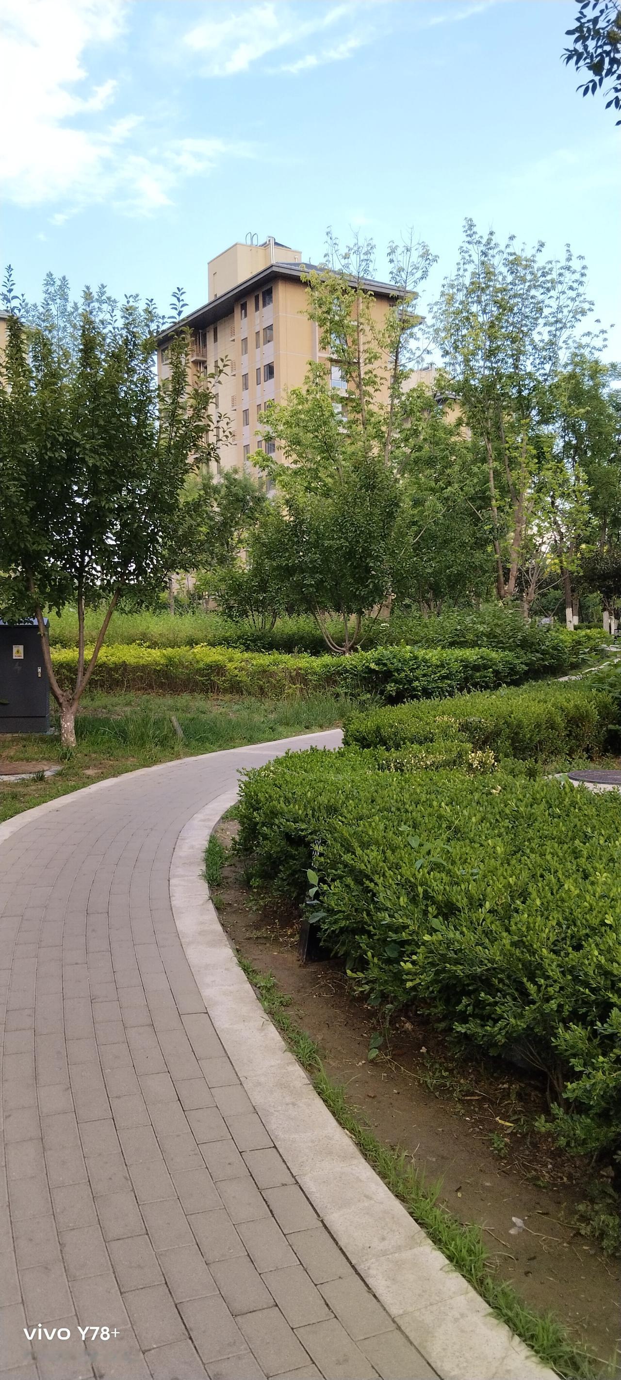 上世纪90年代，红红火火的粮管所、供销社仿佛一夜之间，轰然倒闭。在惋惜之余，感觉