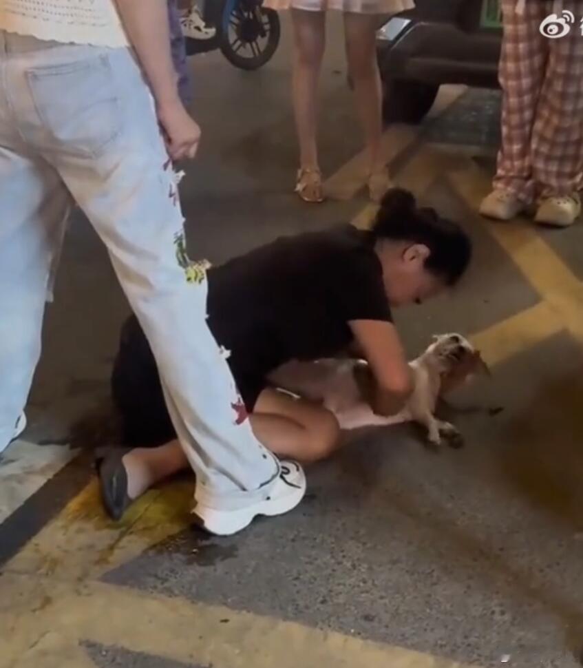 太经典了，遛狗不栓绳，狗乱跑被撞了之后想起来哭闹了，当时干什么去了？我也不知道，