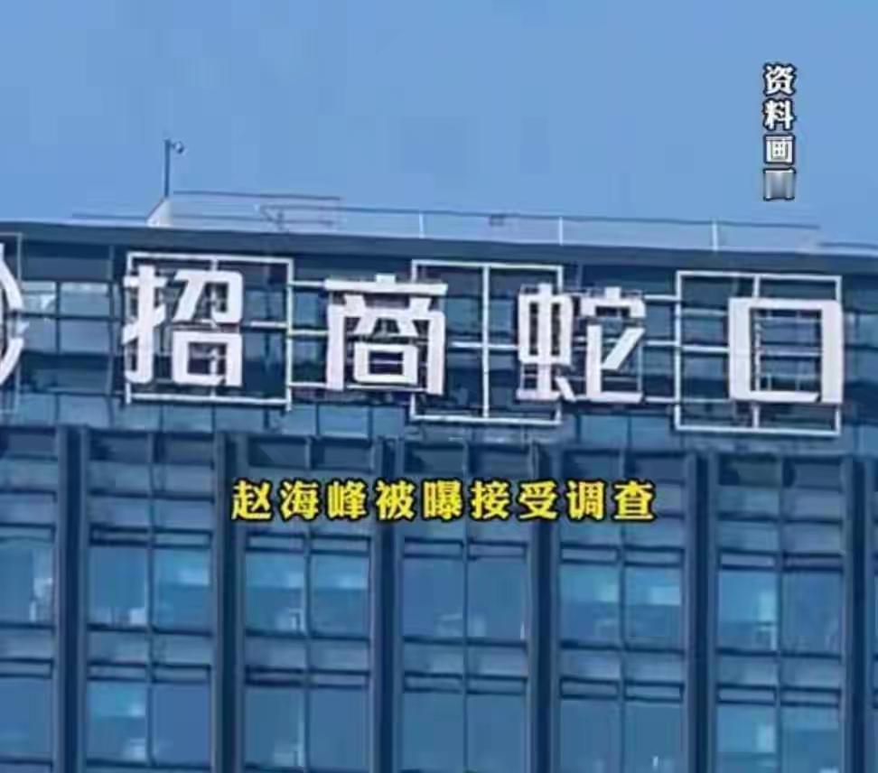 浙江招商酒宴上的主角赵海峰，身为清北的高材生，且已做到主管的位置，估摸有四十多岁