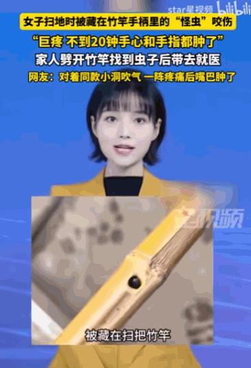 “悲剧还是发生了！”四川雅安，2026年7月13日下午，詹女士像往常一样拿起竹柄
