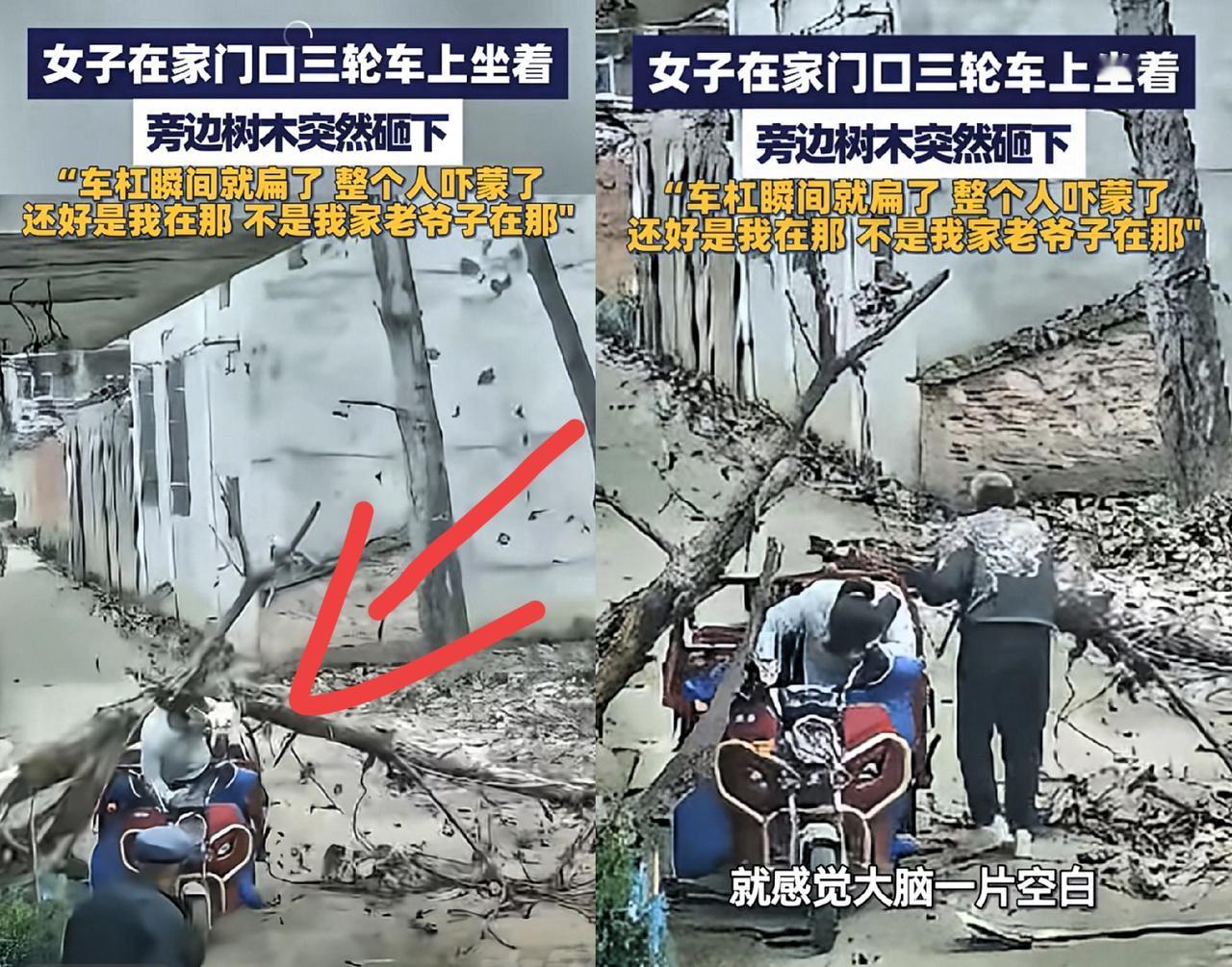 这肯定是上辈子拯救了银河系阜阳一女子歇脚的瞬间，旁边树木突然倒伏，碎枝溅了一