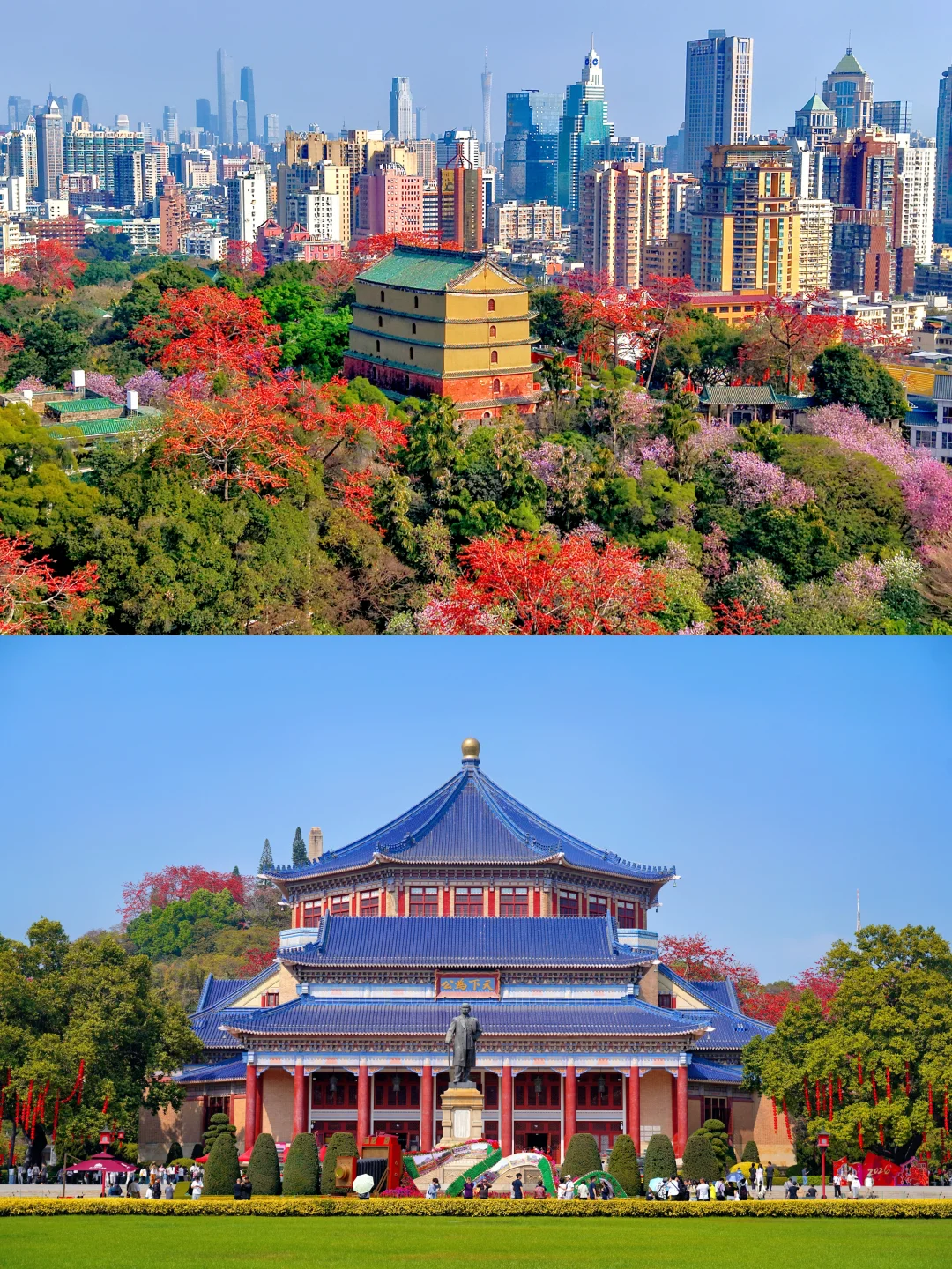 木棉花与广州地标同框！中式浪漫路线美哭了