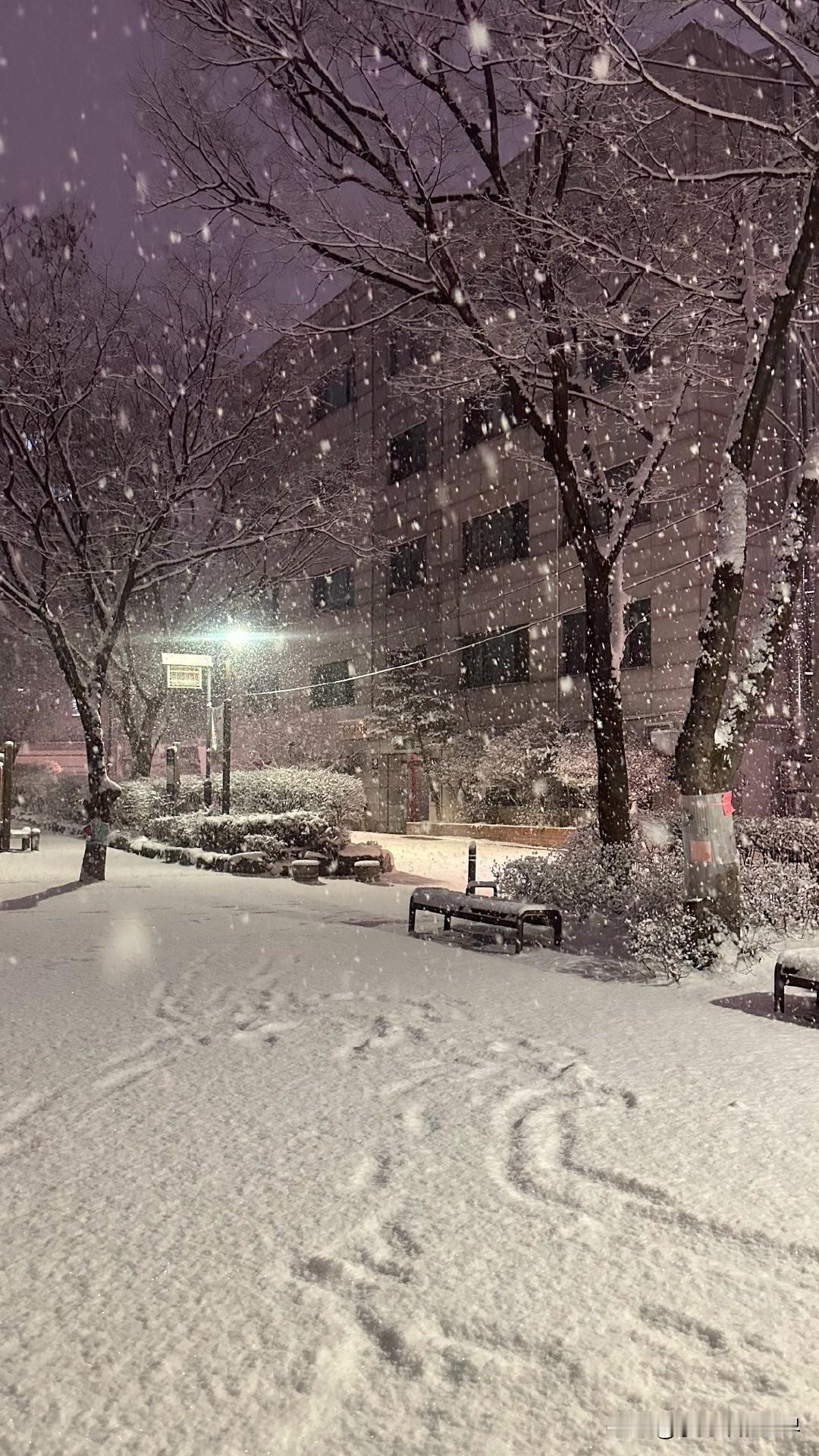 结婚后我才知道我的母语不是汉语，而是无语！跟老婆说话是猜谜！结婚后我才知