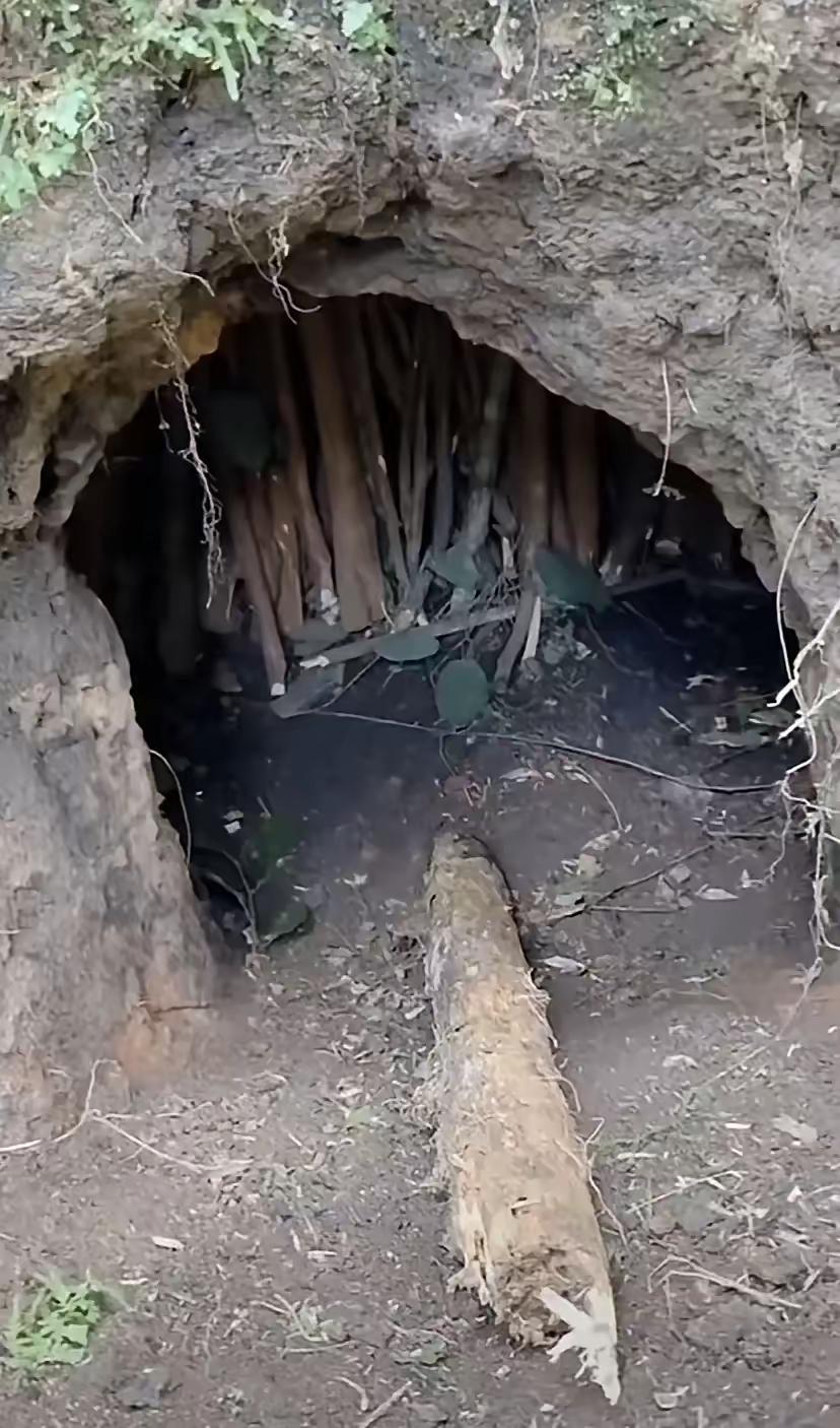 笑不活了！广西老表把荒野求生玩成“祖传技能秀”，烧炭过冬直接让主办方看懵！