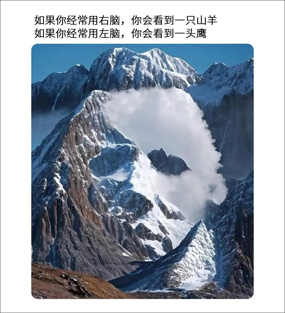 我是没有脑子吗？