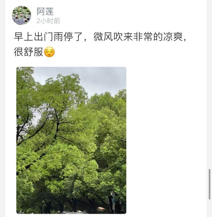 “竹节草”已经加强为强热带风暴级, 今天白天杭州有中到大雨部分暴雨