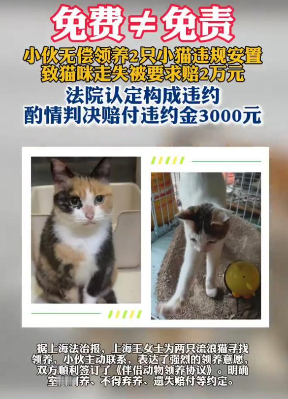 永远记住，免费的东西往往才是最贵的。上海有个叫小杨的小伙子，弄丢了两只免费领养