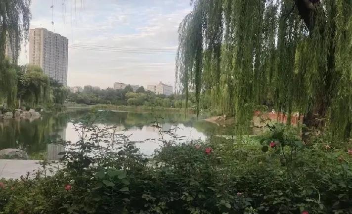 邻居的小儿子，去年高考被广东某学院录取，他妈嫌学校学费贵让他复读一年。在复读期