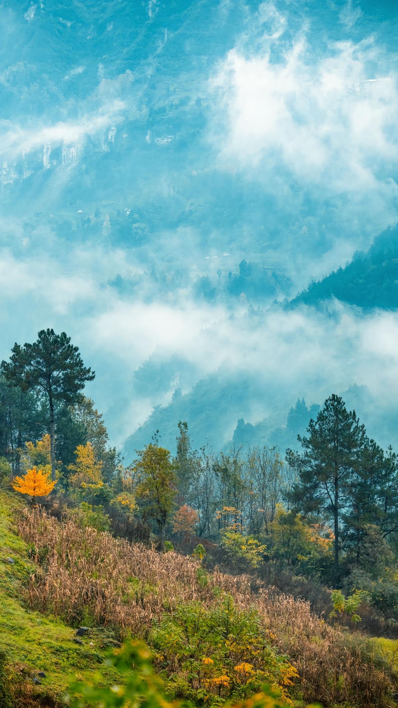 昨天遇到一位南京新城初三学生的家长，和我聊起了孩子学习的问题。家长的意思是问我们