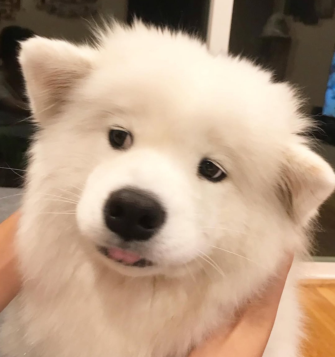 好吧好吧，就给亲一下耶