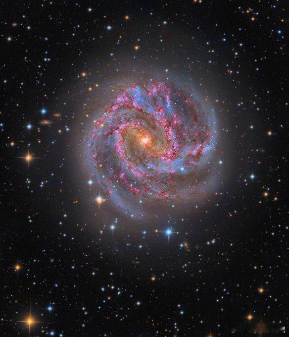 螺旋星系M83，在1500万光年外闪耀着光芒！它是一个位于长蛇座的条状螺旋