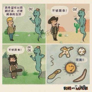 完美！​​​