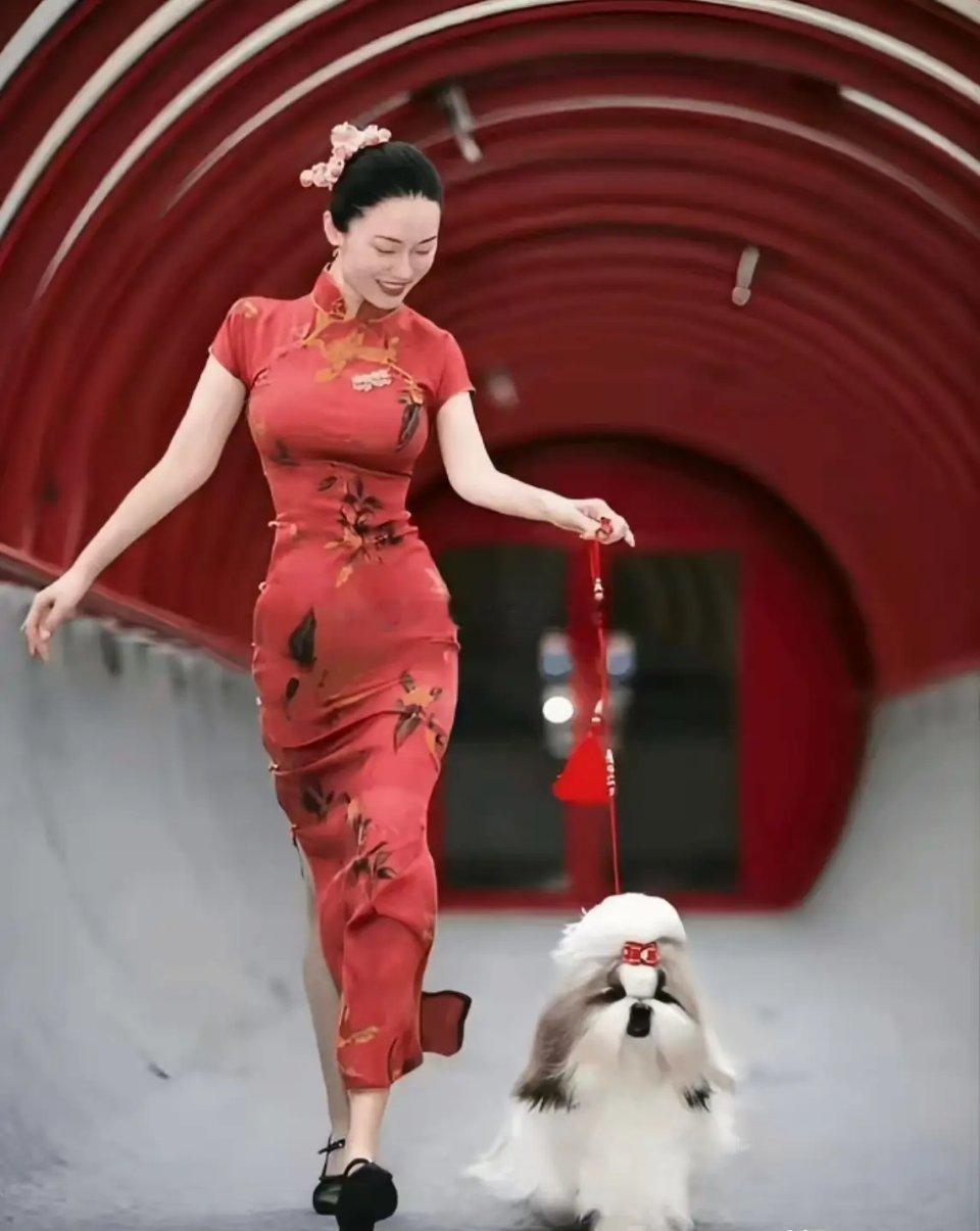 深挖才懂，霍思燕icon家的赛犬为何常年横扫赛场、屡夺大奖。从来不是天赋加持，更