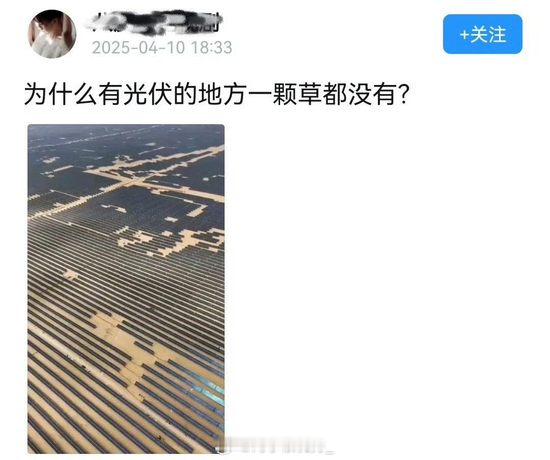 网友：为什么有光伏的地方一颗草都没有？​​​