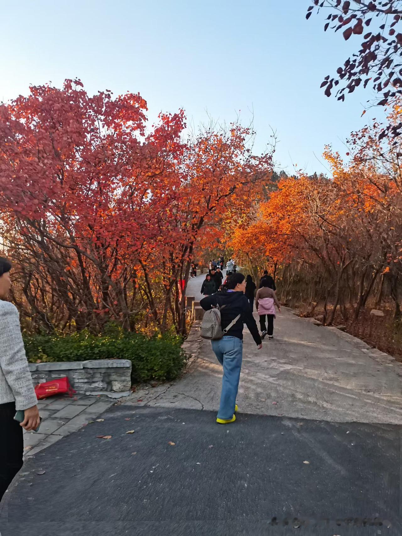 堂姐的经历，让我明白了，为什么那么多人宁愿一年不工作，也要看书考公。2015