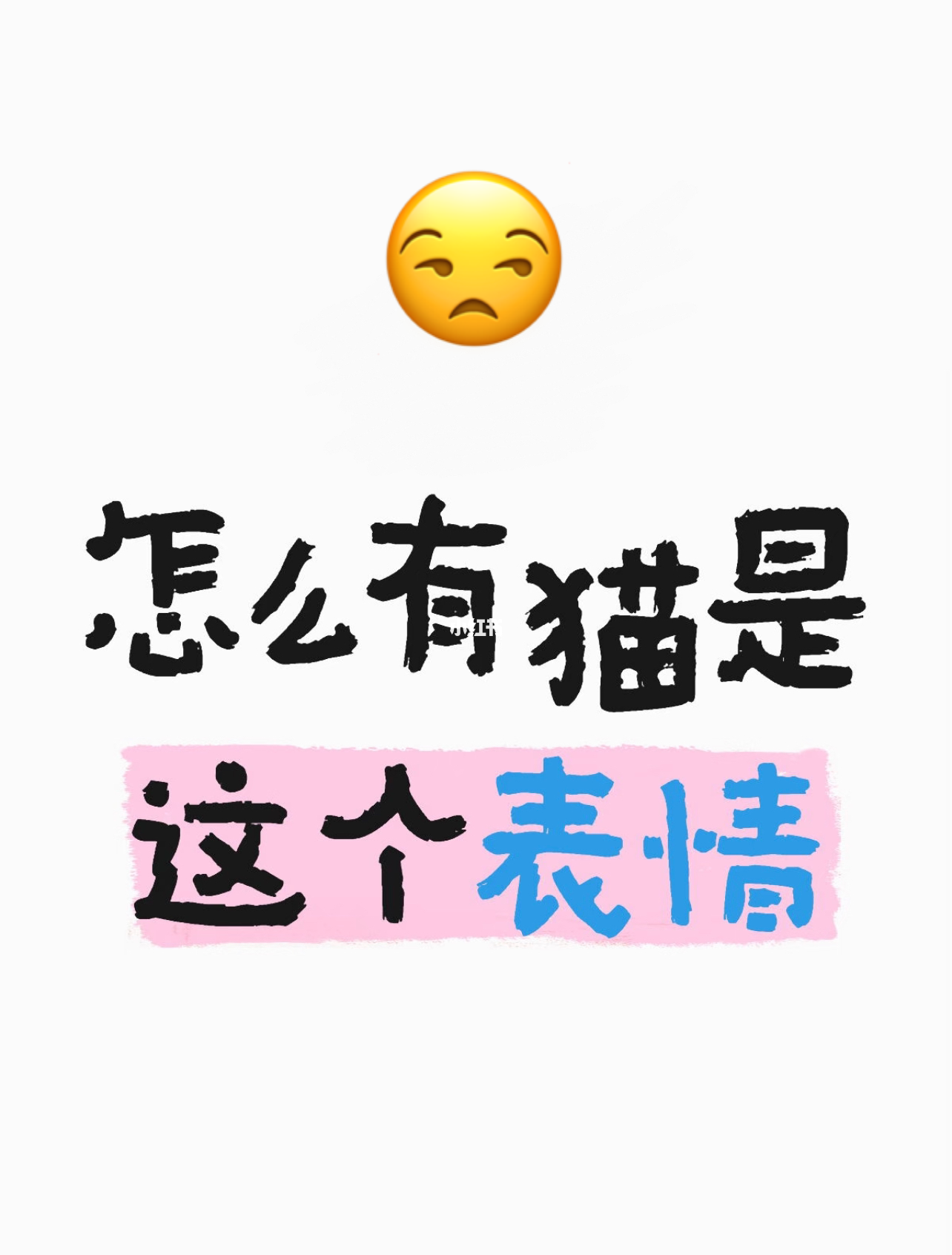 猫：嗯…到我了吗？