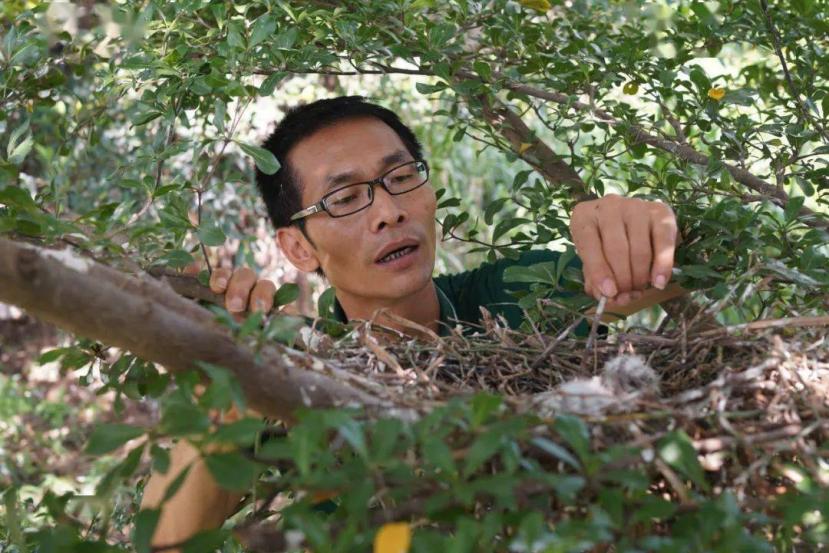 2009年，一名身负千万债务的广东小伙，几次寻死不成，绝望中返乡，没想到一只小鸟