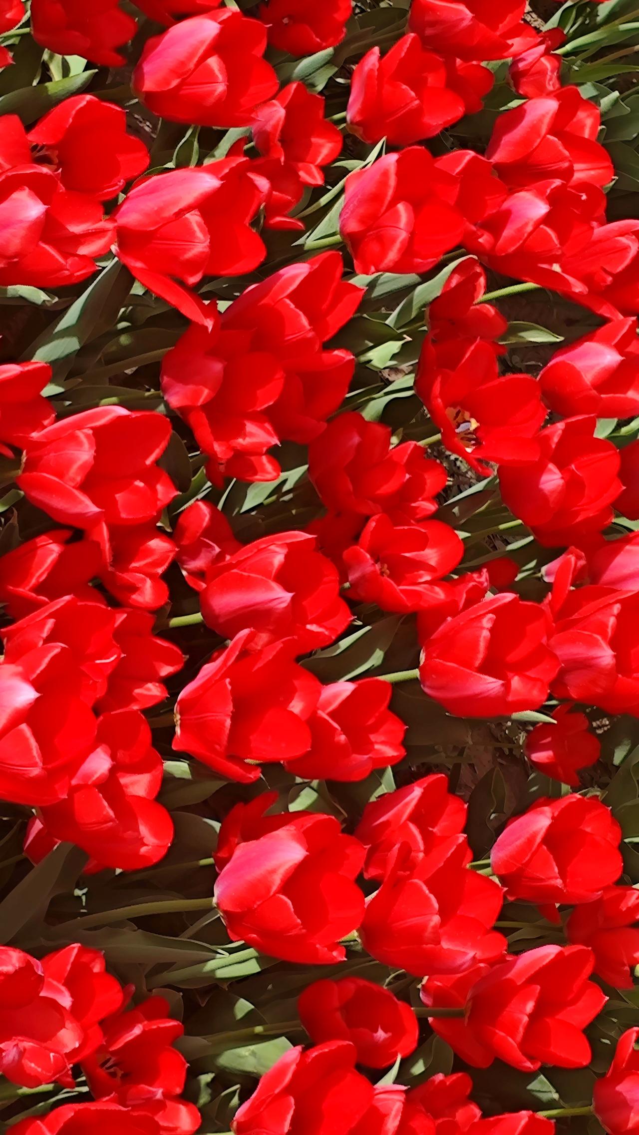 活明白，从来不是拥有多少财富、占据多高的地位，也不是看透世间所有的人情冷暖，变得