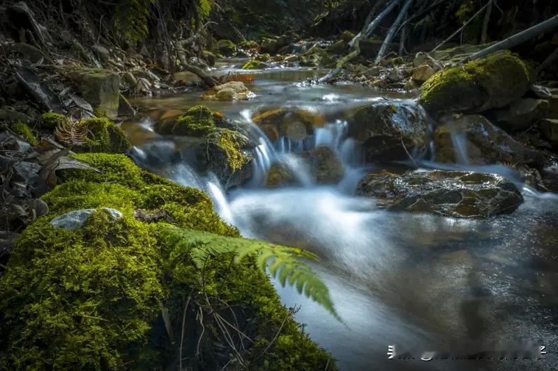 看到“怪石摇风飘清泉”这个上联，感觉画面感一下就来了，怪石在风中摇晃，清泉随之飘