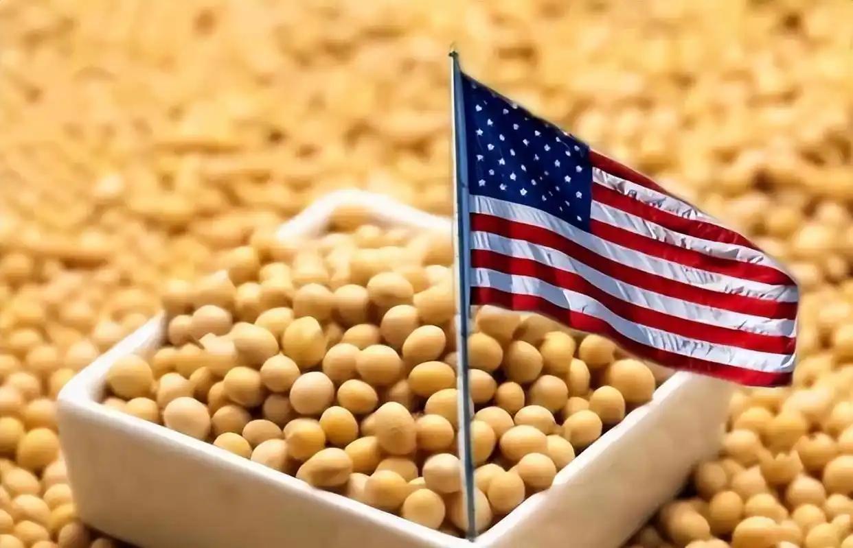 美国大豆为什么非得卖给中国？其实，从美国的角度来看，三年不向中国出口大豆，扩大国