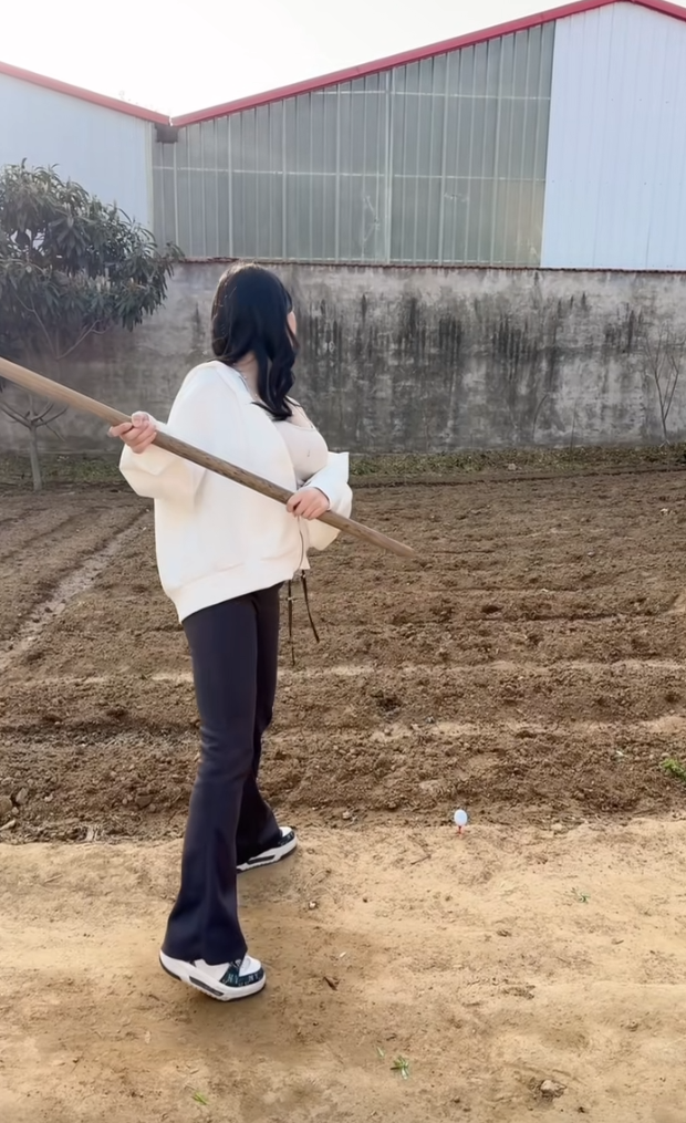 一看就不专业，哪儿有拿铁锨打高尔夫的，笑死……得用镢。