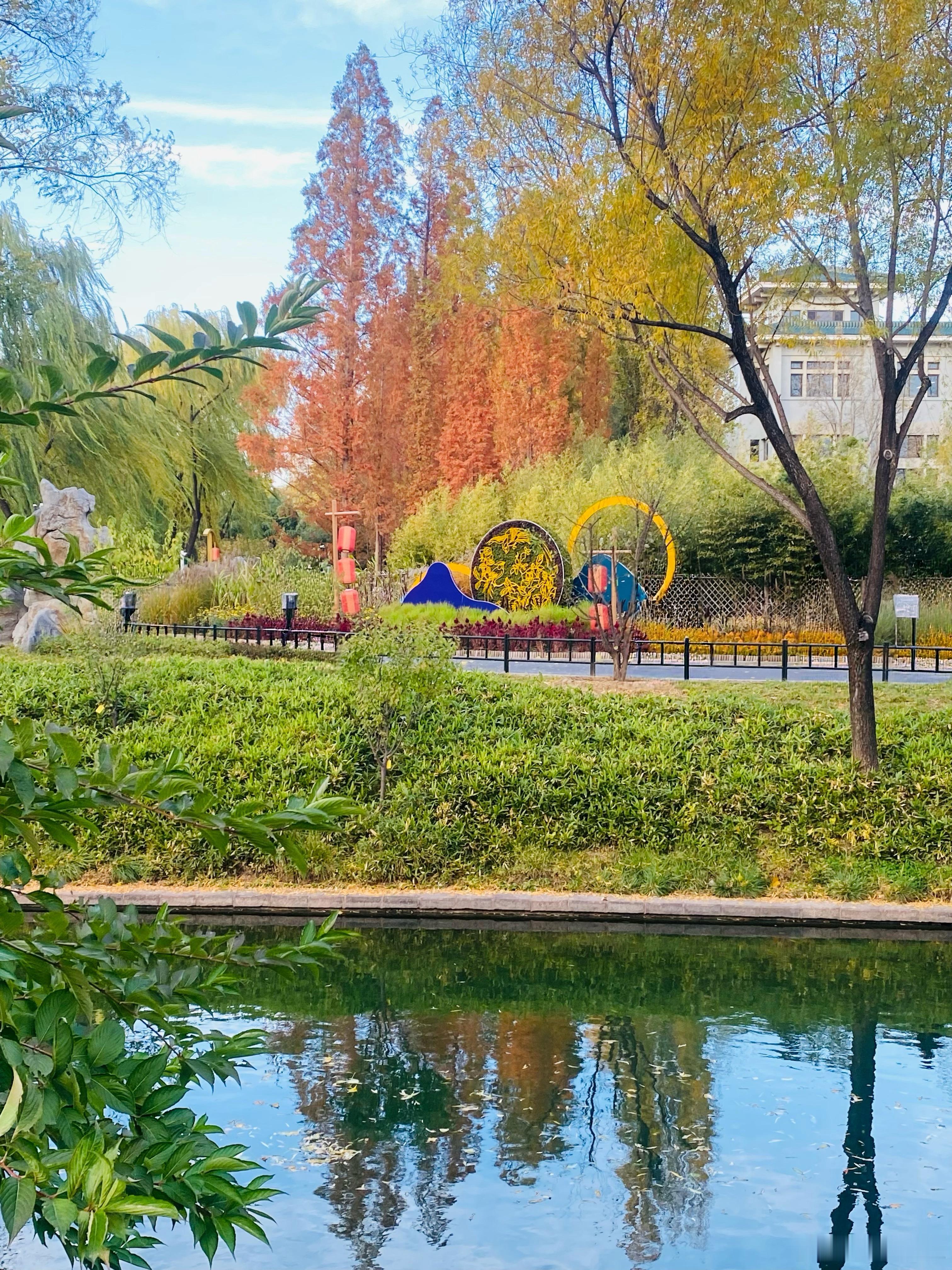 今天天气不错，中午和闺蜜聚餐后路过紫竹院，忍不住随手拍了几张。晚安💚