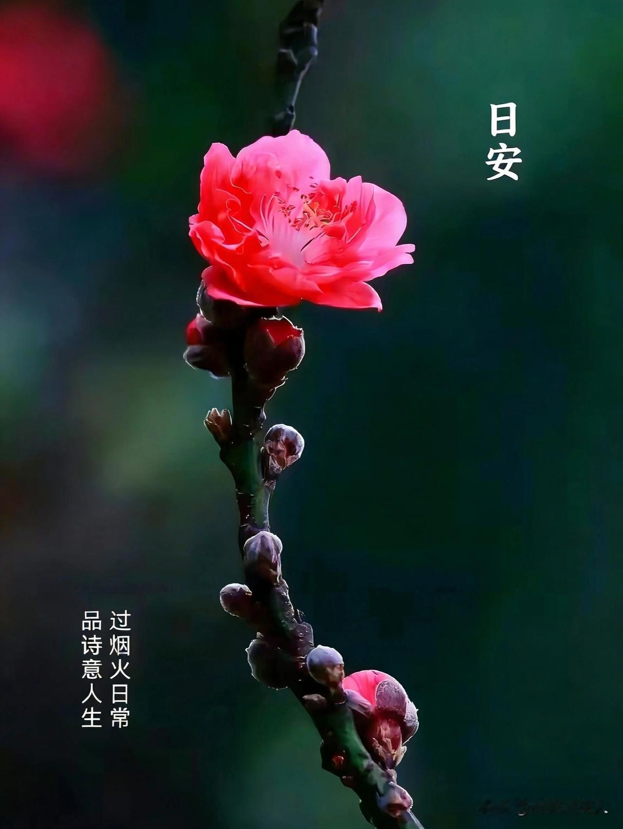 黄金价格涨到啥价位，和普通老百姓有啥关系？任何时候，黄金都是奢侈品！都是有钱人