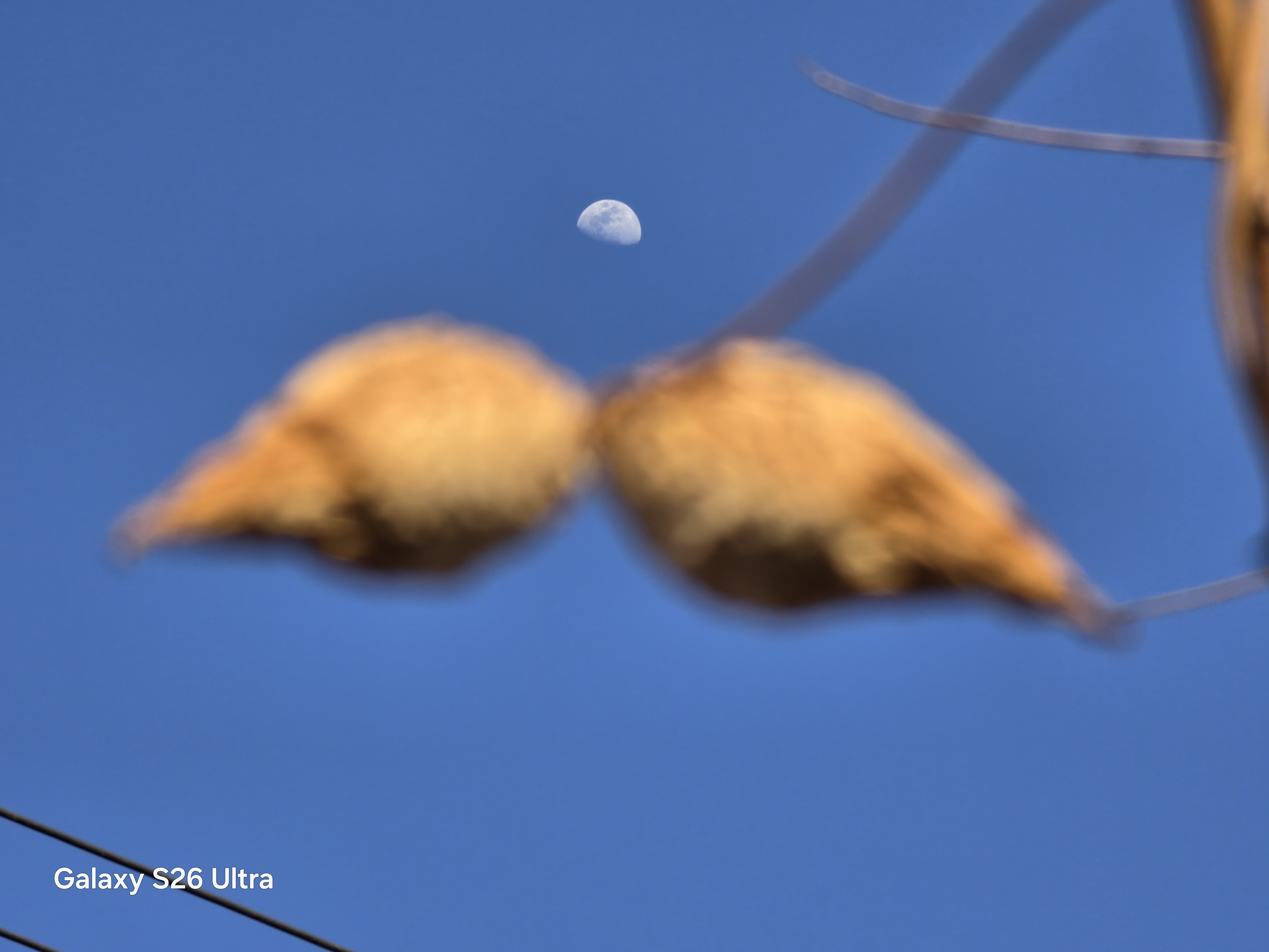 以你的审美，这两种照片哪个更有意境？用三星GalaxyS26Ultra24