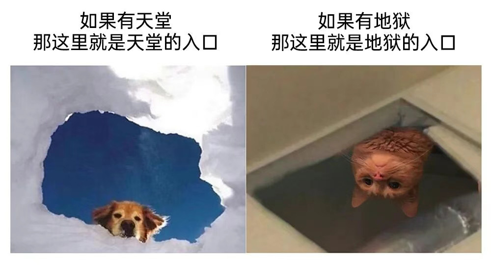 一念神魔