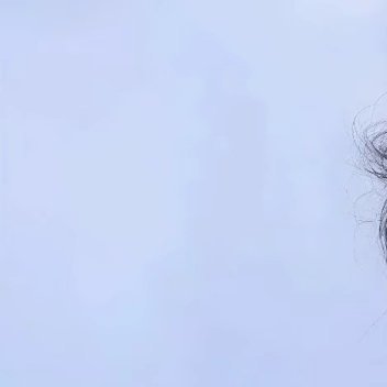 0000山茶花种植一、选苗与时机选择根系发达、枝叶饱满、无病虫害的健壮苗木。盆栽