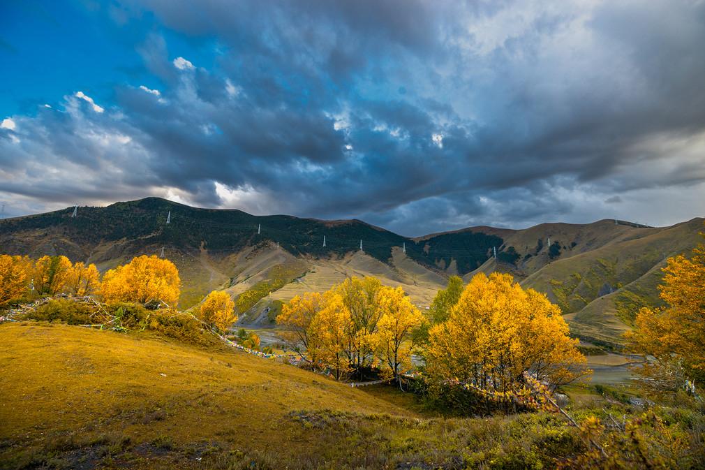 对高校的老师而言，发论文或者说发高质量的论文太重要了，所以说那种顶级期刊的编辑是