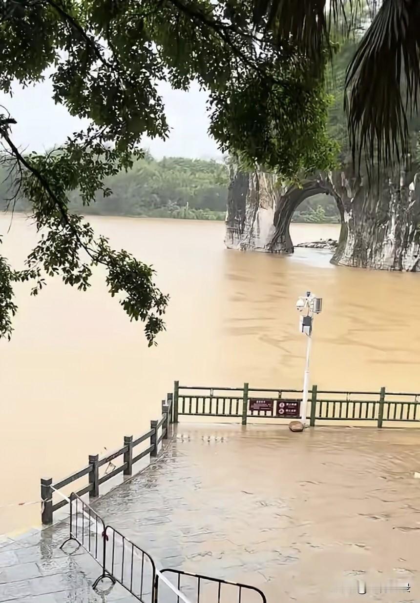 雨水太大，大象也受不了，尤其是浑水，大象是不喜欢趟浑水的。如此象鼻山，实属罕见