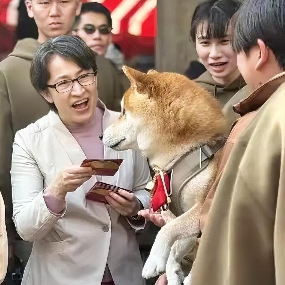真是太荒唐滑稽了！“台独”顽固分子萧美琴竟在给一条狗发红包。今天（2月17日