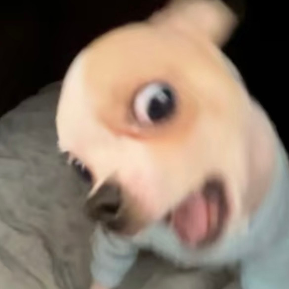 洗袜袜！