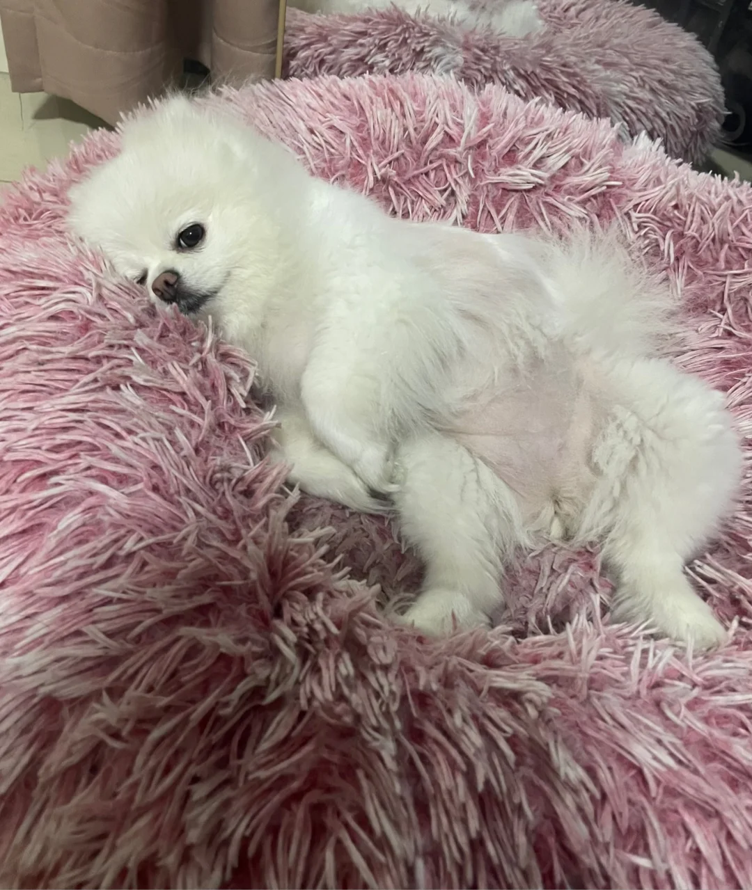 岁月静好
