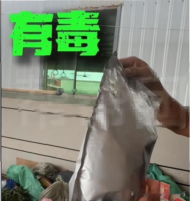 毒杨梅还会不会有？甲醛白菜有了！狗被毒死了，老头判了刑!吃了甲醛白菜，今
