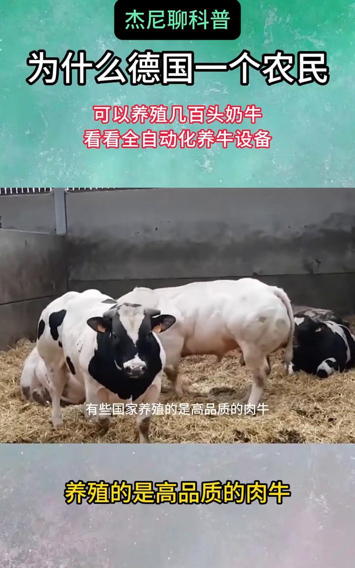 杰尼聊科普：为什么德国一个农民可以养殖几百头奶牛？看看全自动化养牛设备。大家知