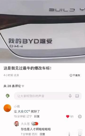我的BYD难受