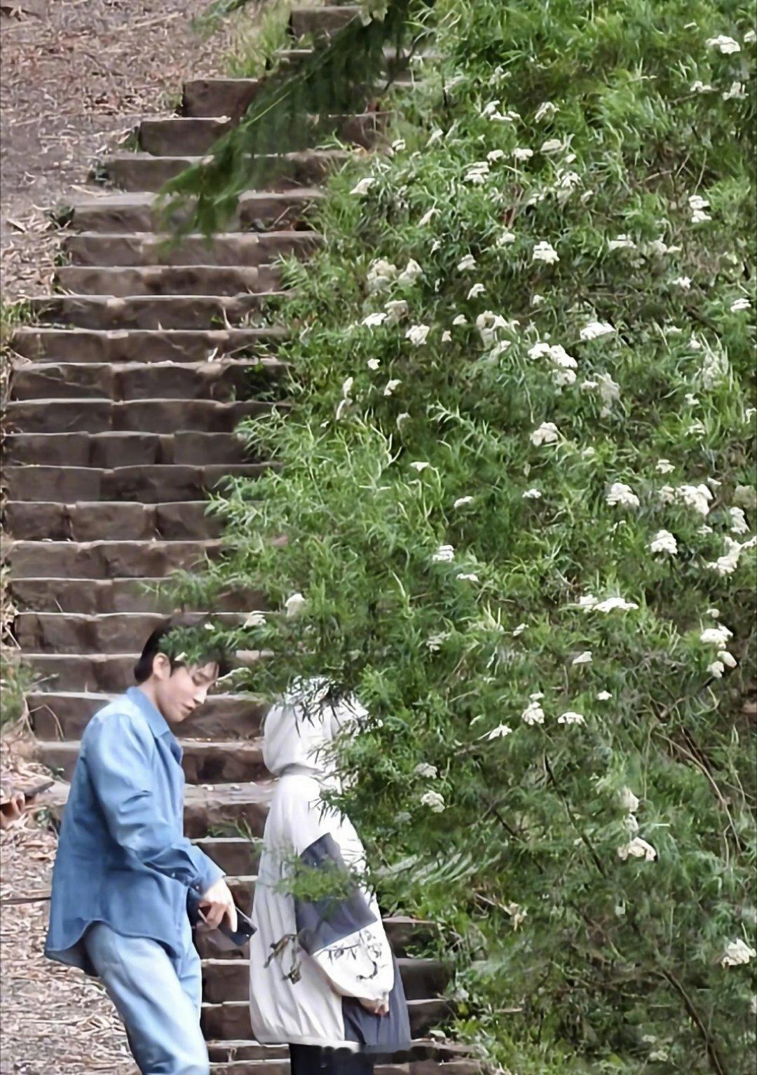 有路人直接在澳大利亚爬山的时候，偶遇到了王俊凯，虽然没合照，但偶遇也已经很幸运了