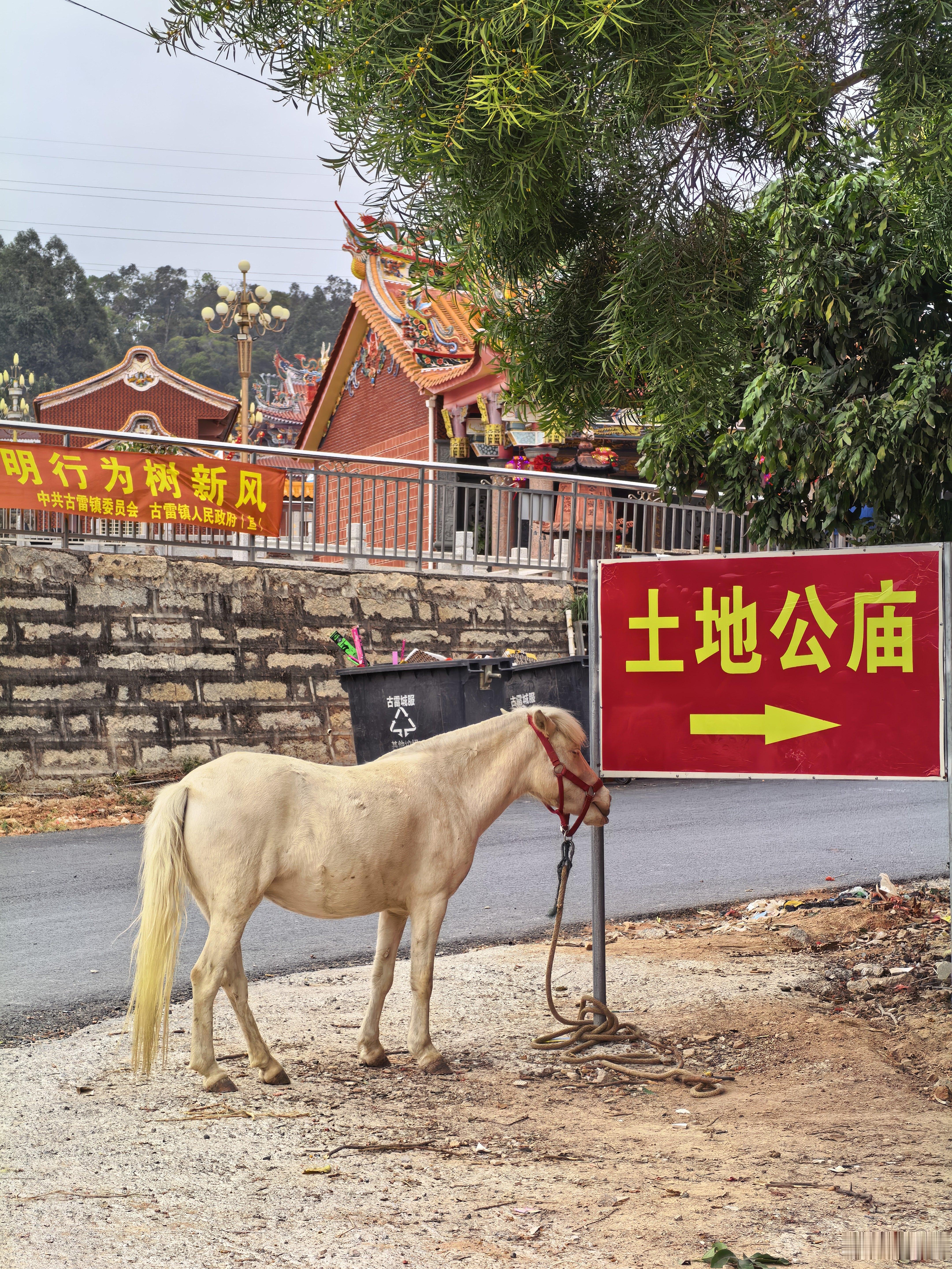 本以为我的享界S9T是村里最帅的了，没想到出现劲！