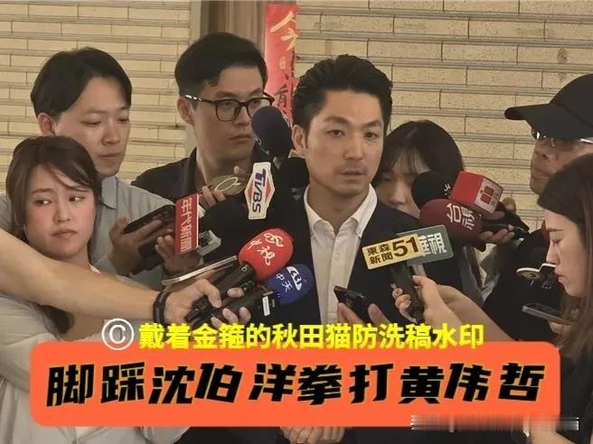 蒋万安脚踩沈伯洋、拳打黄伟哲！六句霸气专业反问，凸显法学博士战斗力～国民党前
