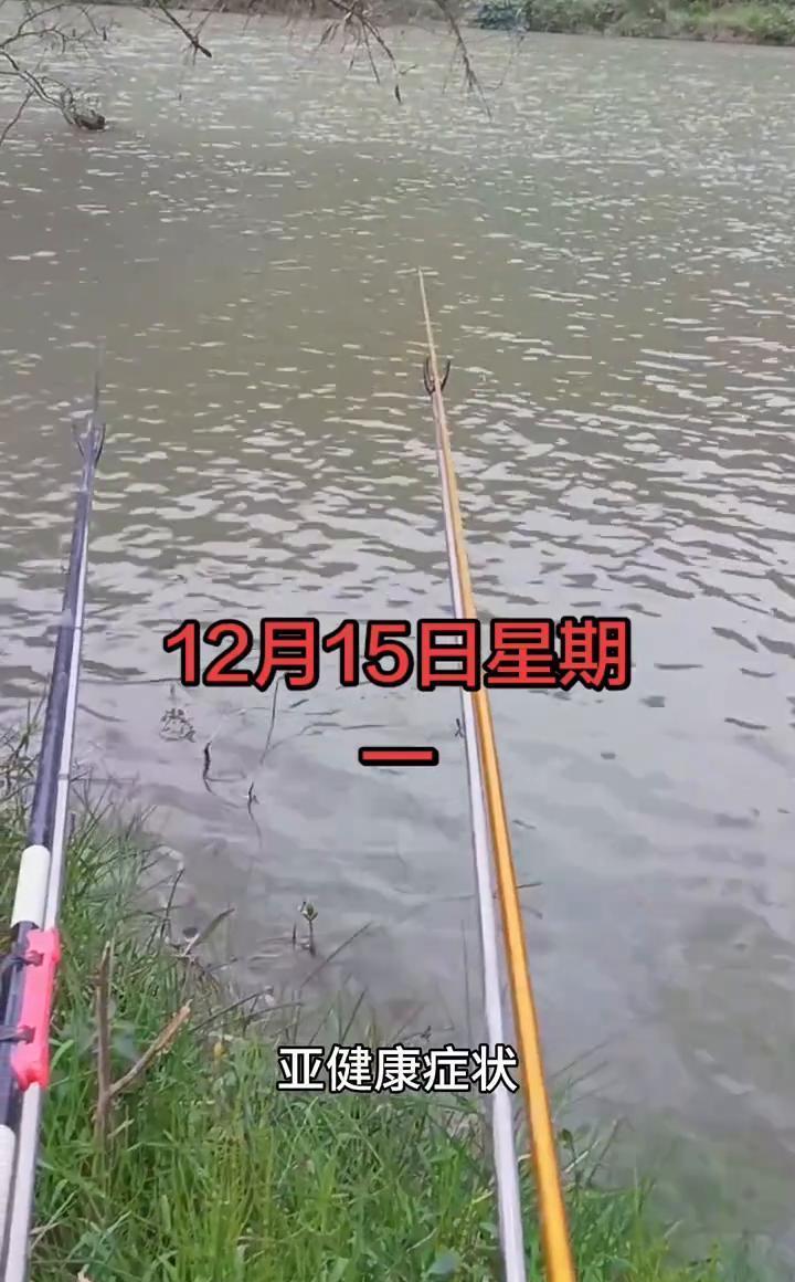 降温后第3天，千万别去钓鱼。你以为的“鱼口期”，其实是它们的“生死关”。水温