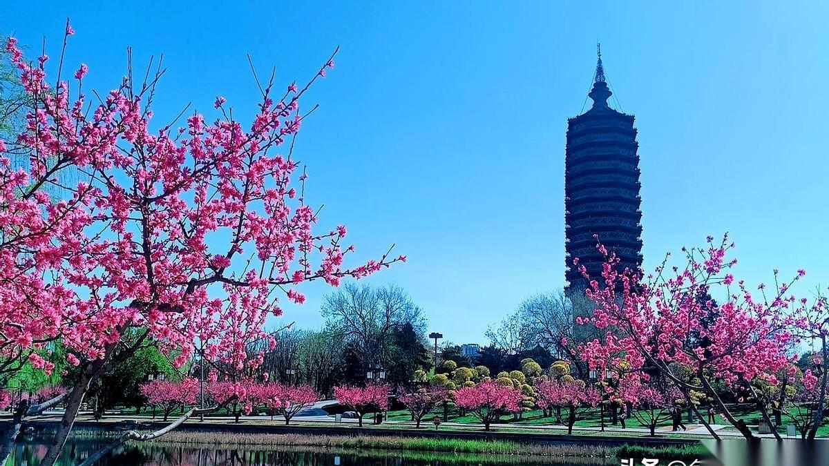 千万别碰那个“分期协商”，尤其是在你走投无路的时候。你以为那是平台伸出的援手，