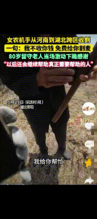 “活该你发财！”河南女农机手跨省到湖北割麦，硬是让80岁老汉当众想下跪。这不是什